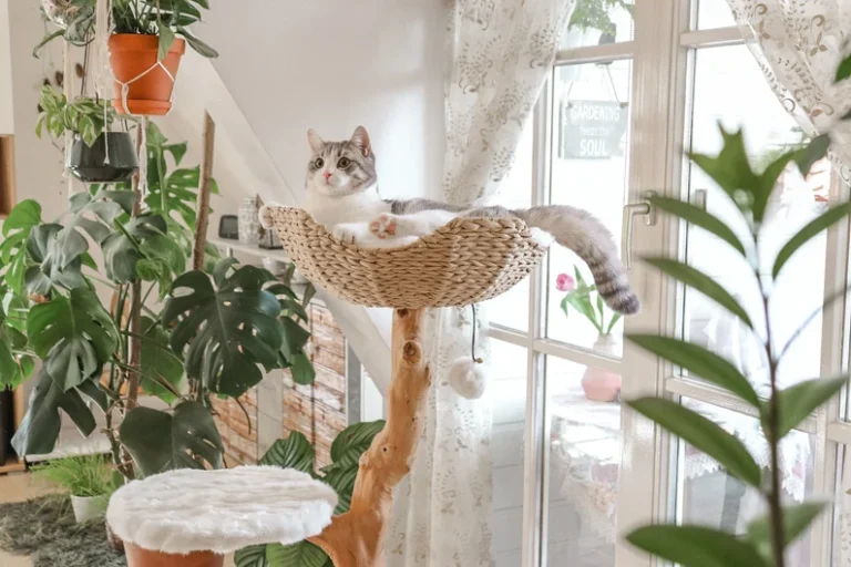 Unique cat tree for your cat
